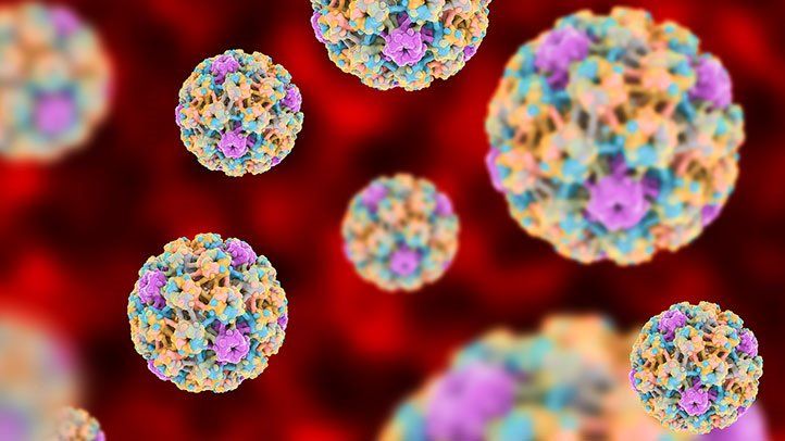 关于HPV的8件事
